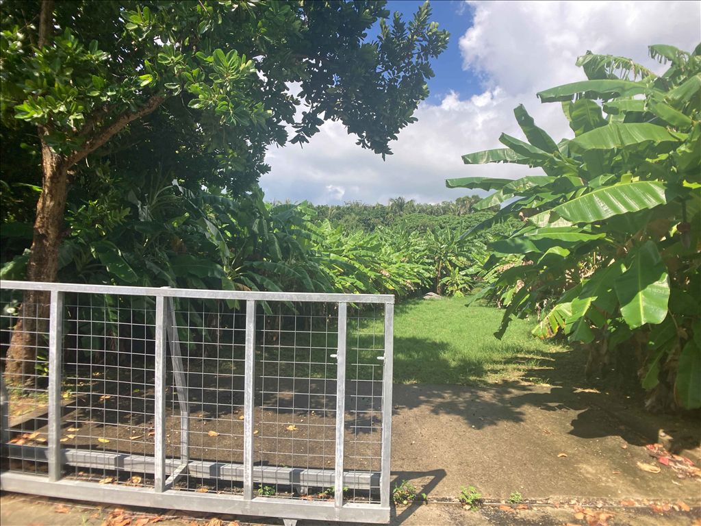 994m² Land for Sale in Ishigaki Island's New River Area, Okinawa - Thumbnail 4