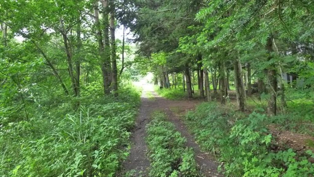668 sqm Vacant Land for Sale in Karuizawa's Oiwake Asamayama - Thumbnail 4