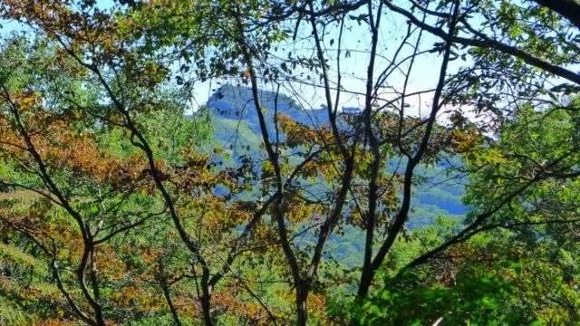 Sunlight Forest Land Plot for Sale in Karuizawa, Nagano - Thumbnail 2