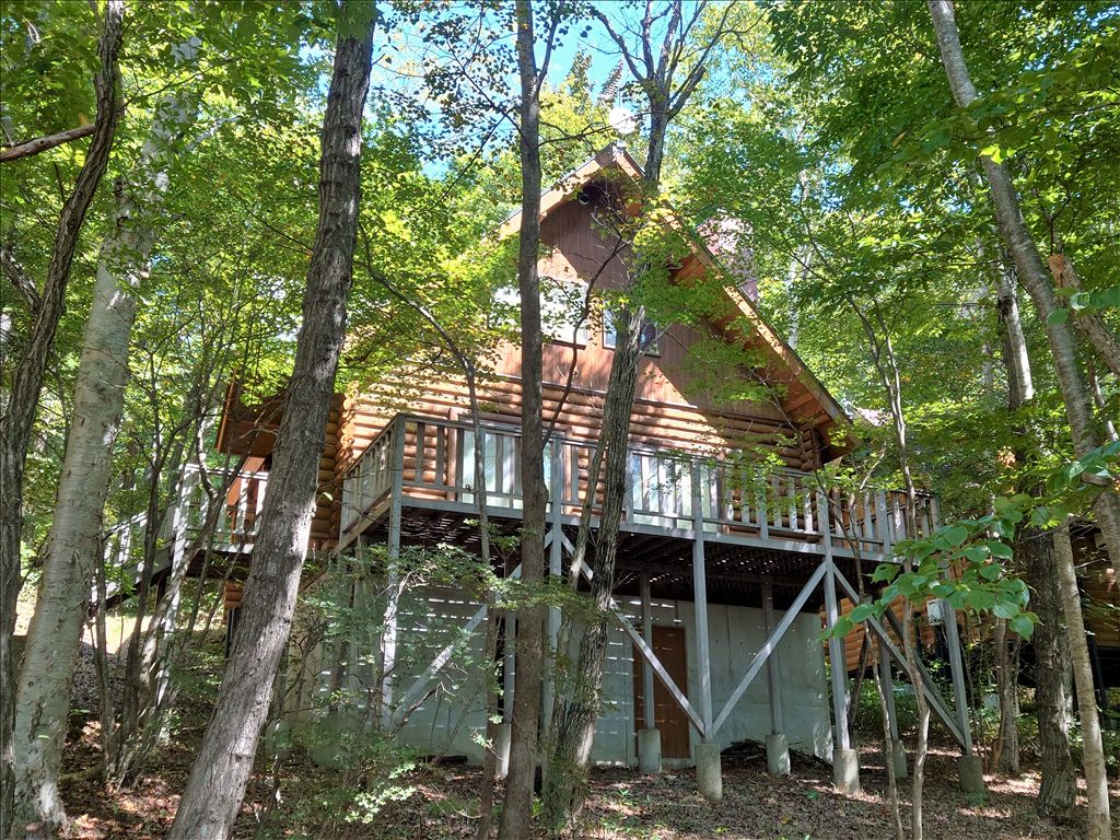 Log Cabin Villa with Onsen Option in Nasu Shirakasa - Image 1