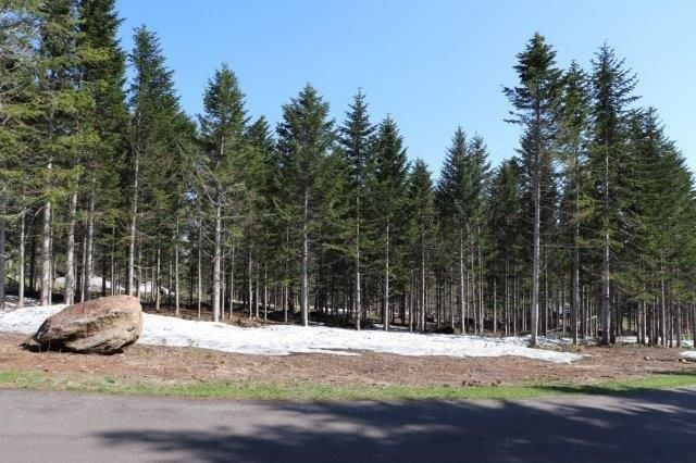 Niseko Annupuri Residence Lot 17 Land for Sale in Hokkaido - Thumbnail 3