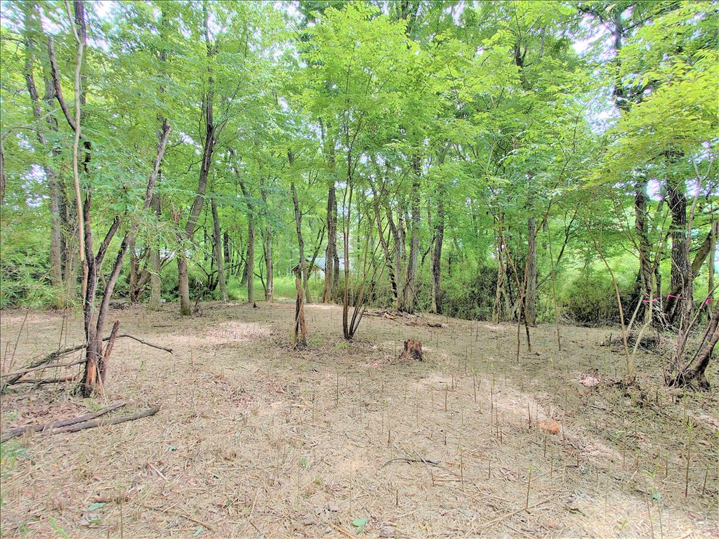 Vacant Land for Sale in Royal Valley WEST, Nasu Resort - Thumbnail 4