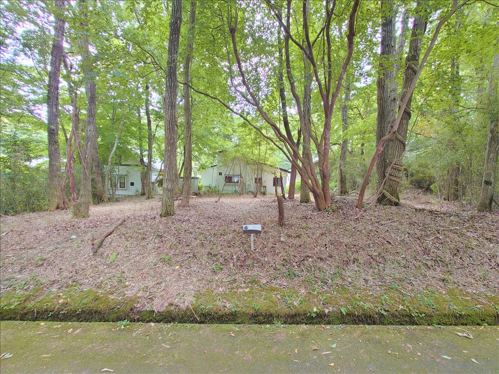 Vacant Land for Sale in Royal Valley WEST, Nasu Resort - Thumbnail 2