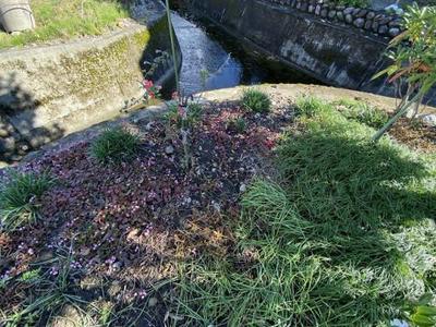 Vacant lot [No.76] Teratsubo - Property details - Toyama Prefecture Tateyama Town Vacant House Bank Site — Image 3, Tateyama, Toyama