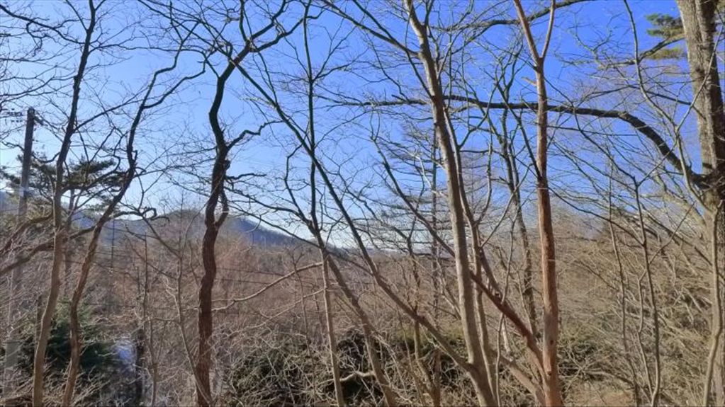 Land for Sale in Marubeni South Karuizawa Villa District, Nagano - Thumbnail 3