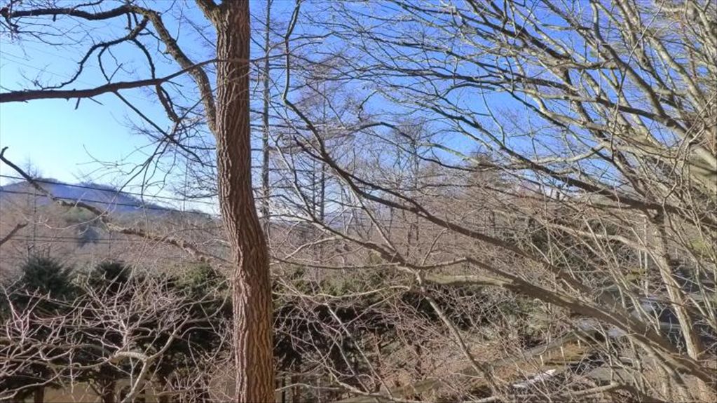 Land for Sale in Marubeni South Karuizawa Villa District, Nagano - Thumbnail 2