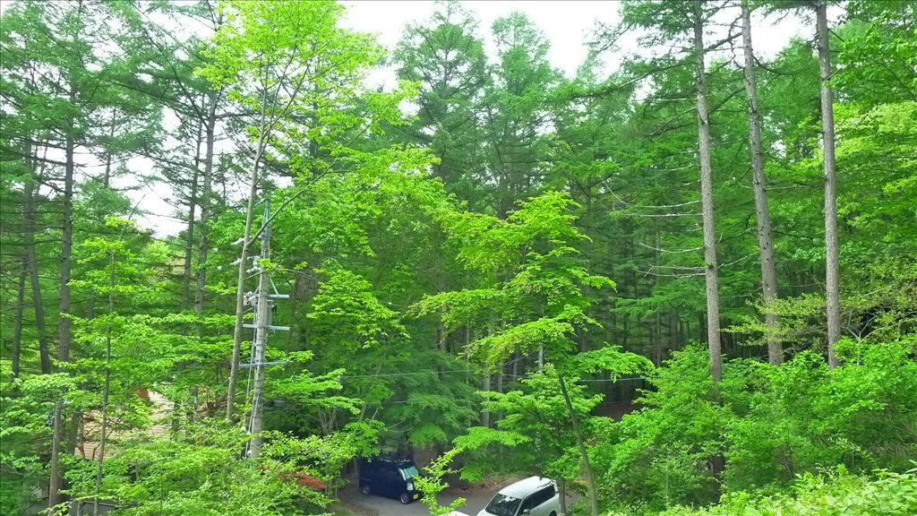 Land for Sale in Mitsui no Mori Villa Area, Karuizawa - Thumbnail 4