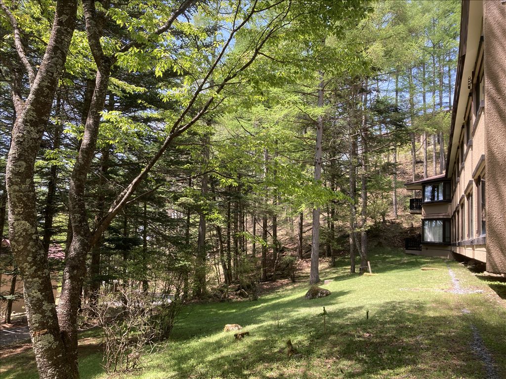 Tokyu Resort Town Tateshina 8B 2LDK Apartment for Sale - Thumbnail 4