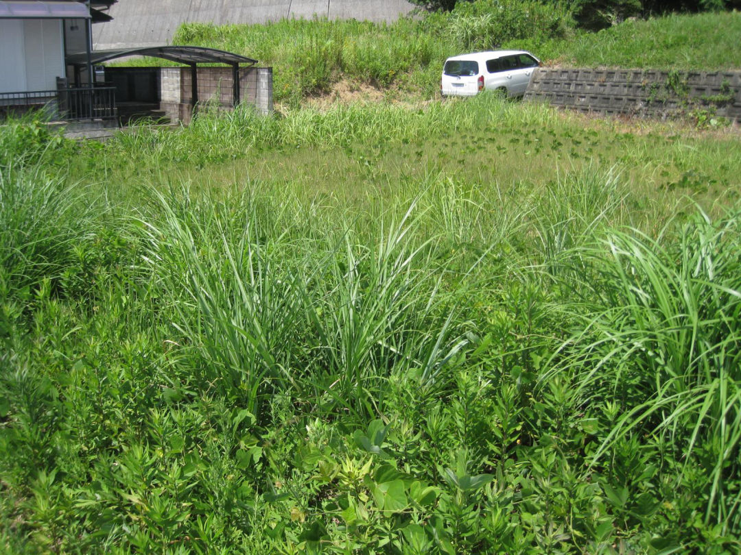 Land for Sale in Kawara Town with Scenic Views - Thumbnail 3