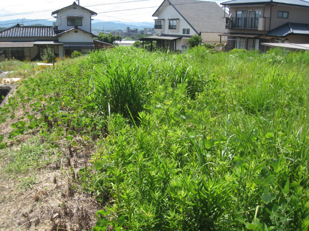 Land for Sale in Kawara Town with Scenic Views - Thumbnail 2