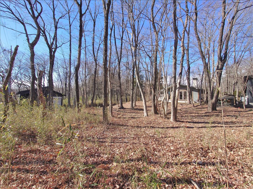 Vacant Land for Sale in Nasu Royal Valley East Villa Area - Thumbnail 2