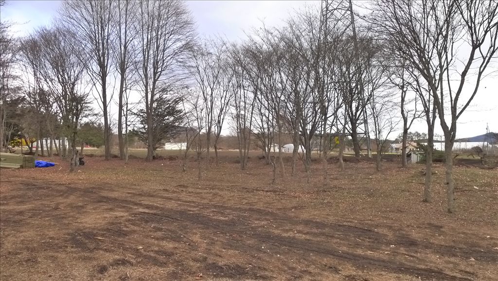 1,935 sqm Land for Sale in Nakakaruizawa Minami, Karuizawa - Thumbnail 3