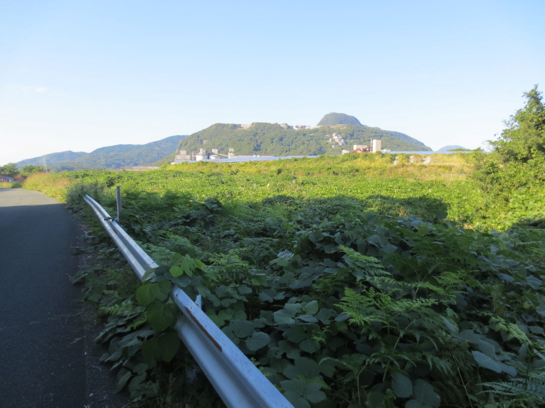 Large land plot in Nakatsuhara, Fukuoka - Thumbnail 4