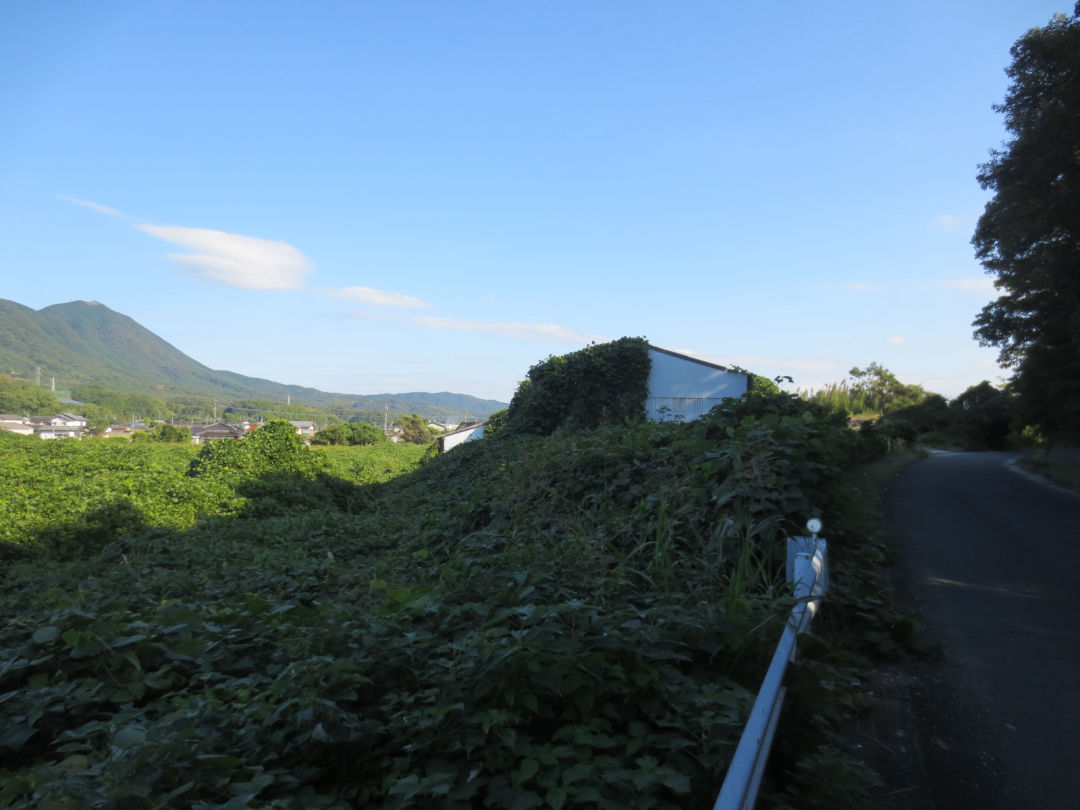 Large land plot in Nakatsuhara, Fukuoka - Thumbnail 3