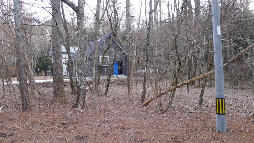 Vacant Land in Karuizawa Acacia Avenue Villa Area - Thumbnail 4