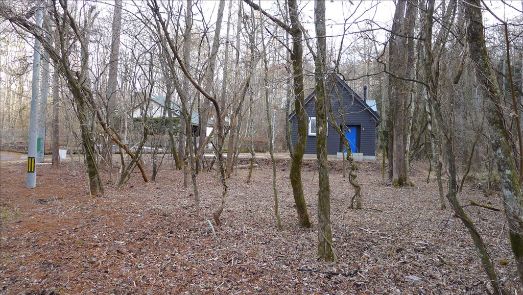 Vacant Land in Karuizawa Acacia Avenue Villa Area - Thumbnail 3