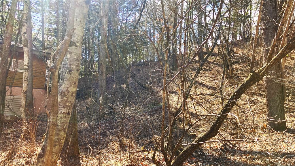 644m² Land for Sale in Prestigious Old Karuizawa, Nagano - Thumbnail 4
