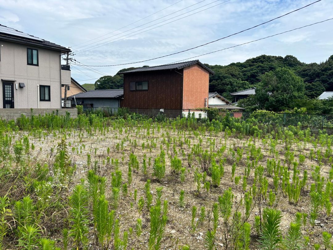 Land for Sale in Kawara Town, Fukuoka - Thumbnail 4
