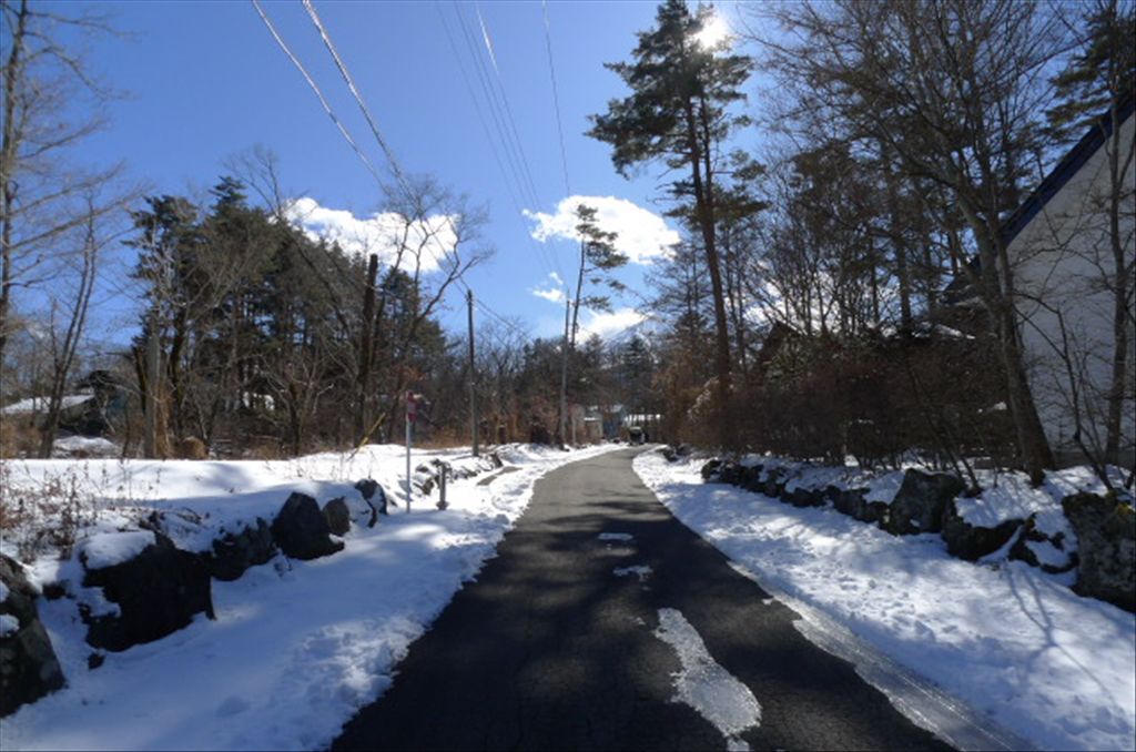 Marubeni Fujizakura Villa Land for Sale with Mount Fuji View - Thumbnail 2