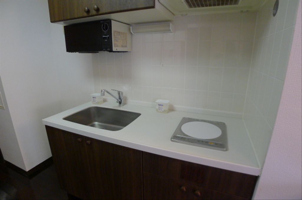 Renovated 1LDK Condo with Lake Yamanakako Views in Yamanashi - Thumbnail 4