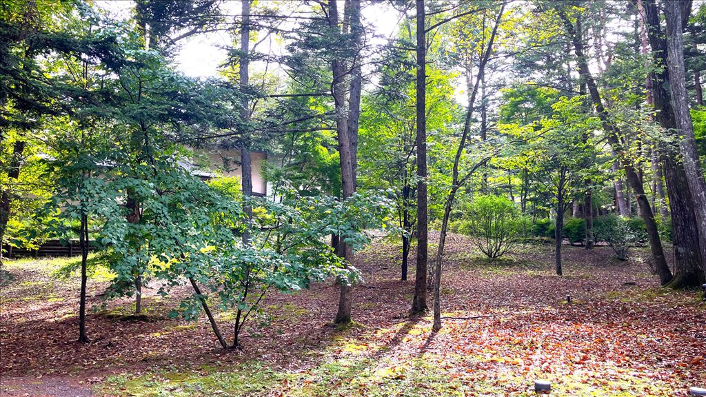 2017 3LDK Villa in Karuizawa with Wood Stove & Cathedral Ceiling - Thumbnail 4