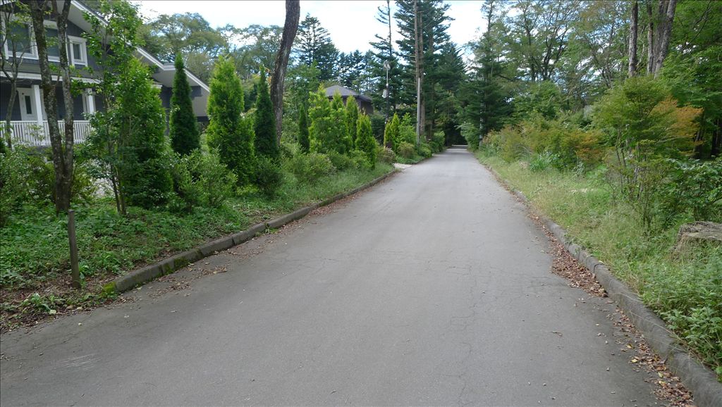 Vacant Land for Sale in Karuizawa Ogidaira Villa Area - Thumbnail 2