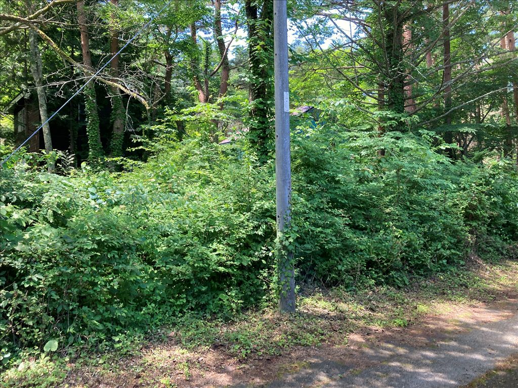 Fuji Sakura Heights Villa Plot for Sale in Kawaguchiko - Thumbnail 3