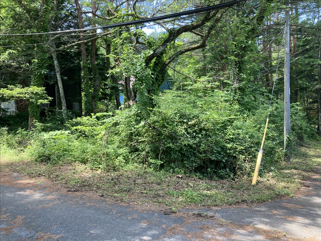 Fuji Sakura Heights Villa Plot for Sale in Kawaguchiko - Thumbnail 4