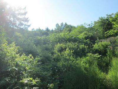 Toyako Town - Toyako Town — Image 1, Toyako, Hokkaido