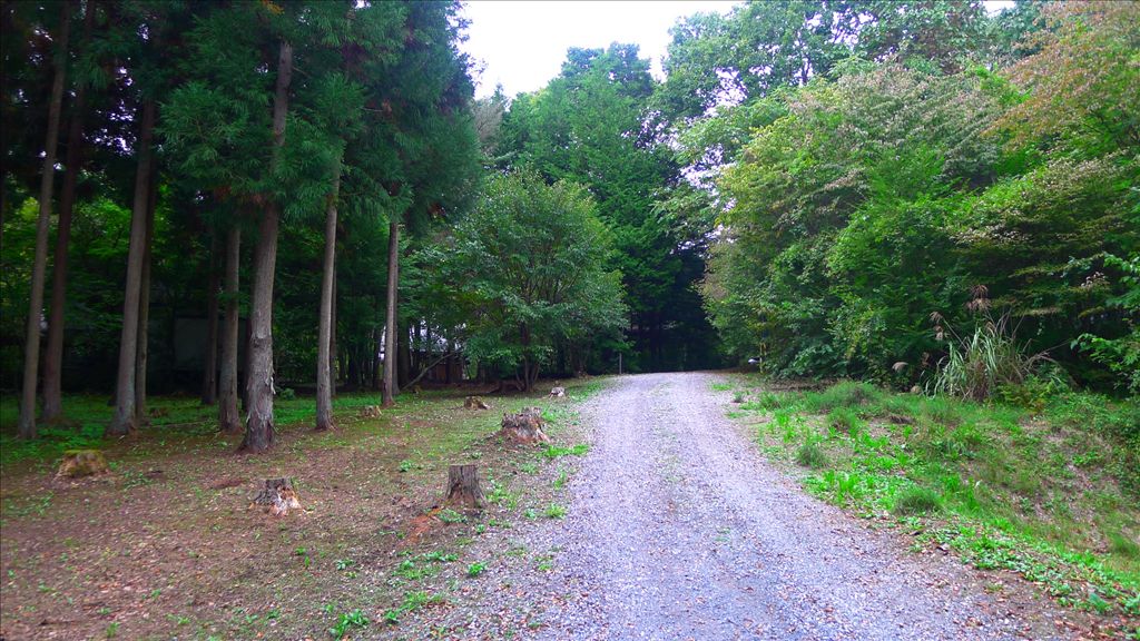 586 Tsubo Land Plot for Sale in Nagakura, Karuizawa - Thumbnail 4