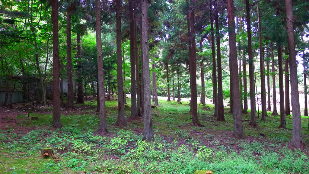 586 Tsubo Land Plot for Sale in Nagakura, Karuizawa - Thumbnail 2