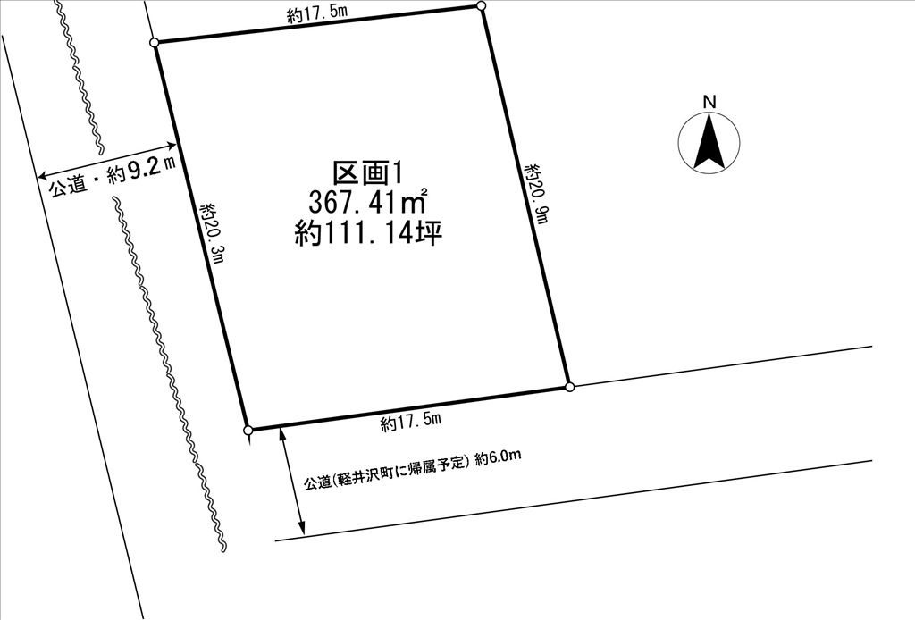 Vacant Land for Sale in Karuizawa, Nagano - 367.41 sqm Plot - Thumbnail 3
