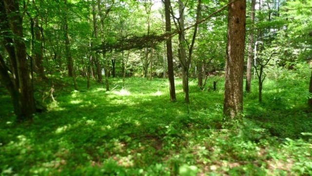 Marubeni Minami-Karuizawa Villa Plots - 1615 sqm Land in Nagano - Thumbnail 4