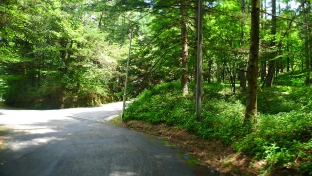 Marubeni Minami-Karuizawa Villa Plots - 1615 sqm Land in Nagano - Thumbnail 3