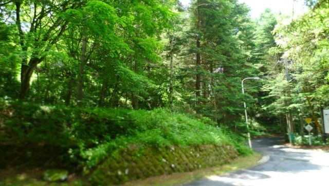 Marubeni Minami-Karuizawa Villa Plots - 1615 sqm Land in Nagano - Thumbnail 2