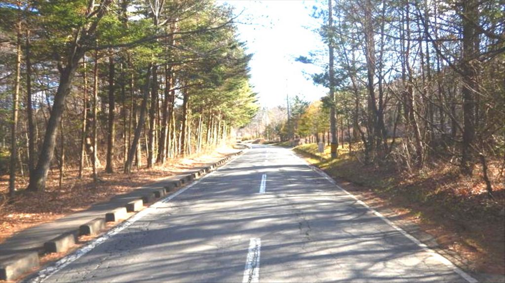 12,008 sqm Land for Sale in South Karuizawa, Nagano - Thumbnail 2