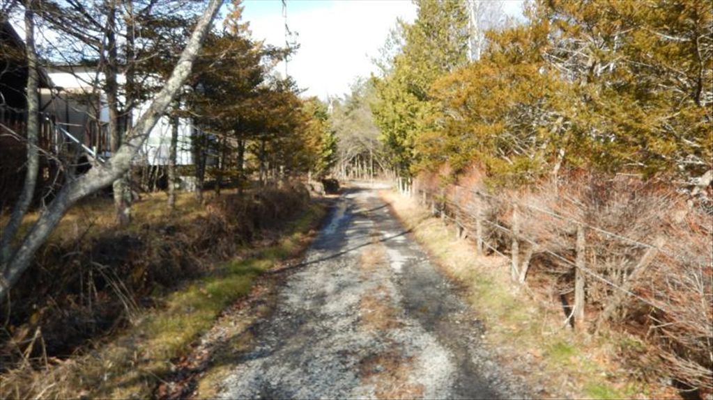 12,008 sqm Land for Sale in South Karuizawa, Nagano - Thumbnail 3