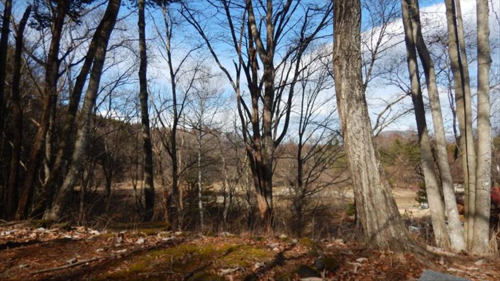 12,008 sqm Land for Sale in South Karuizawa, Nagano - Thumbnail 4