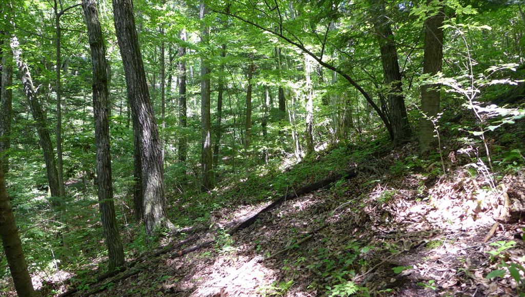 1329 sqm Land for Sale in Atagoyama, Karuizawa, Nagano - Thumbnail 4