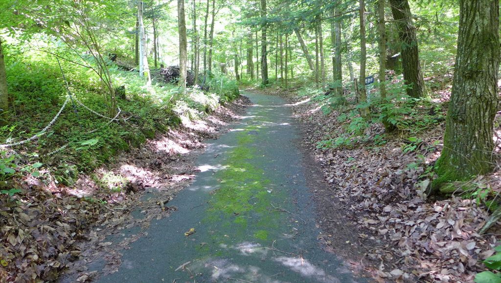 1329 sqm Land for Sale in Atagoyama, Karuizawa, Nagano - Thumbnail 2