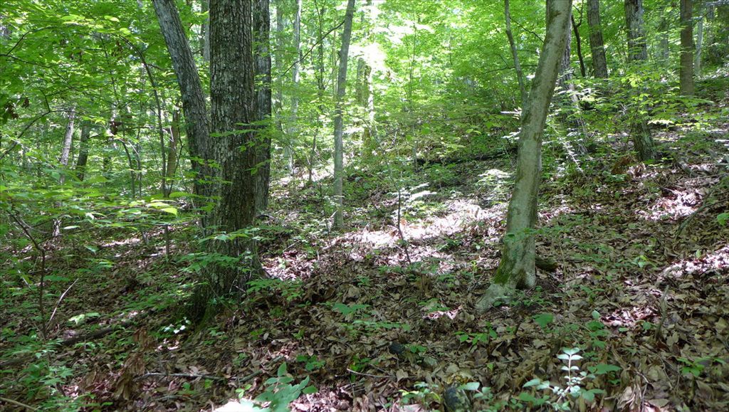 1329 sqm Land for Sale in Atagoyama, Karuizawa, Nagano - Thumbnail 3