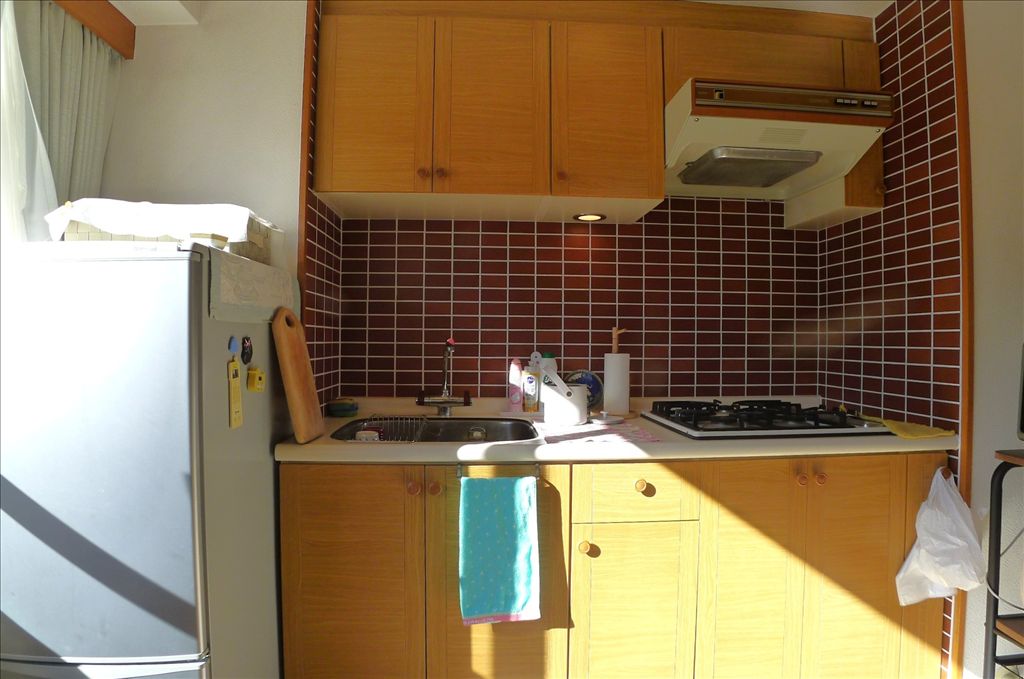 Mount Fuji View 1LDK Apartment in Fit Resort Mansion Sporcion - Thumbnail 4