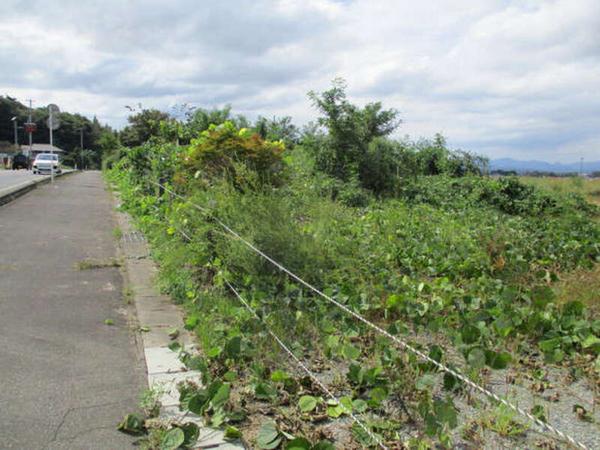 New 4LDK House for Sale in Prime Kyoto Location - Thumbnail 4