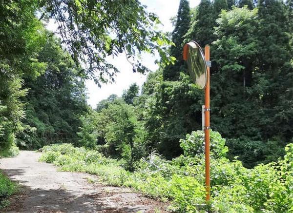 Simple Rifo-Mu Green Yamago Monogatari - Thumbnail 2