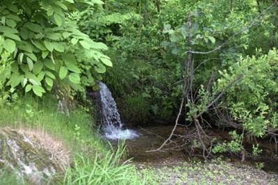 Akiyama-go, an unexplored part of Japan — Image 4, Sakae, Nagano
