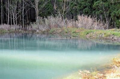 Akiyama-go, an unexplored part of Japan — Image 1, Sakae, Nagano