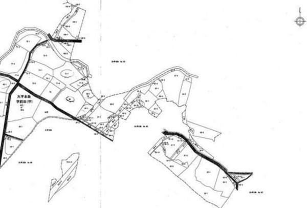 24 brushes in the place where the forest was almost enshrined - Thumbnail 2