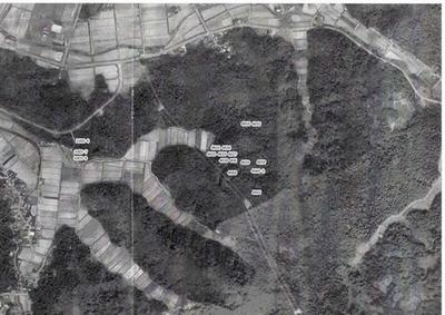 24 brushes in the place where the forest was almost enshrined — Image 1, Kashiwazaki, Niigata