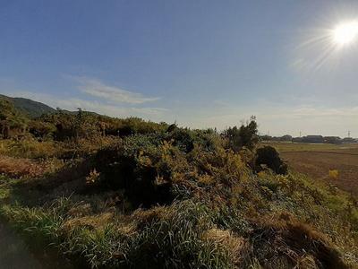 Vacant Land No. 91 - Property Details - Kumamoto Prefecture Uki City Vacant House Bank Site — Image 3, Uki, Kumamoto