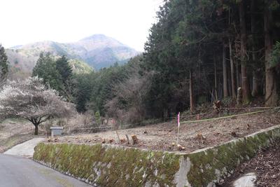 Land plot in Doshi Village, Yamanashi - 422.32m² — Land, Doshi, Yamanashi